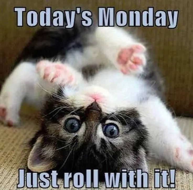 Images with funny monday quotes