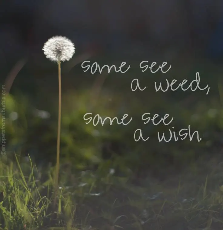Images with positive quotes about life Best pics with positive quotes about life