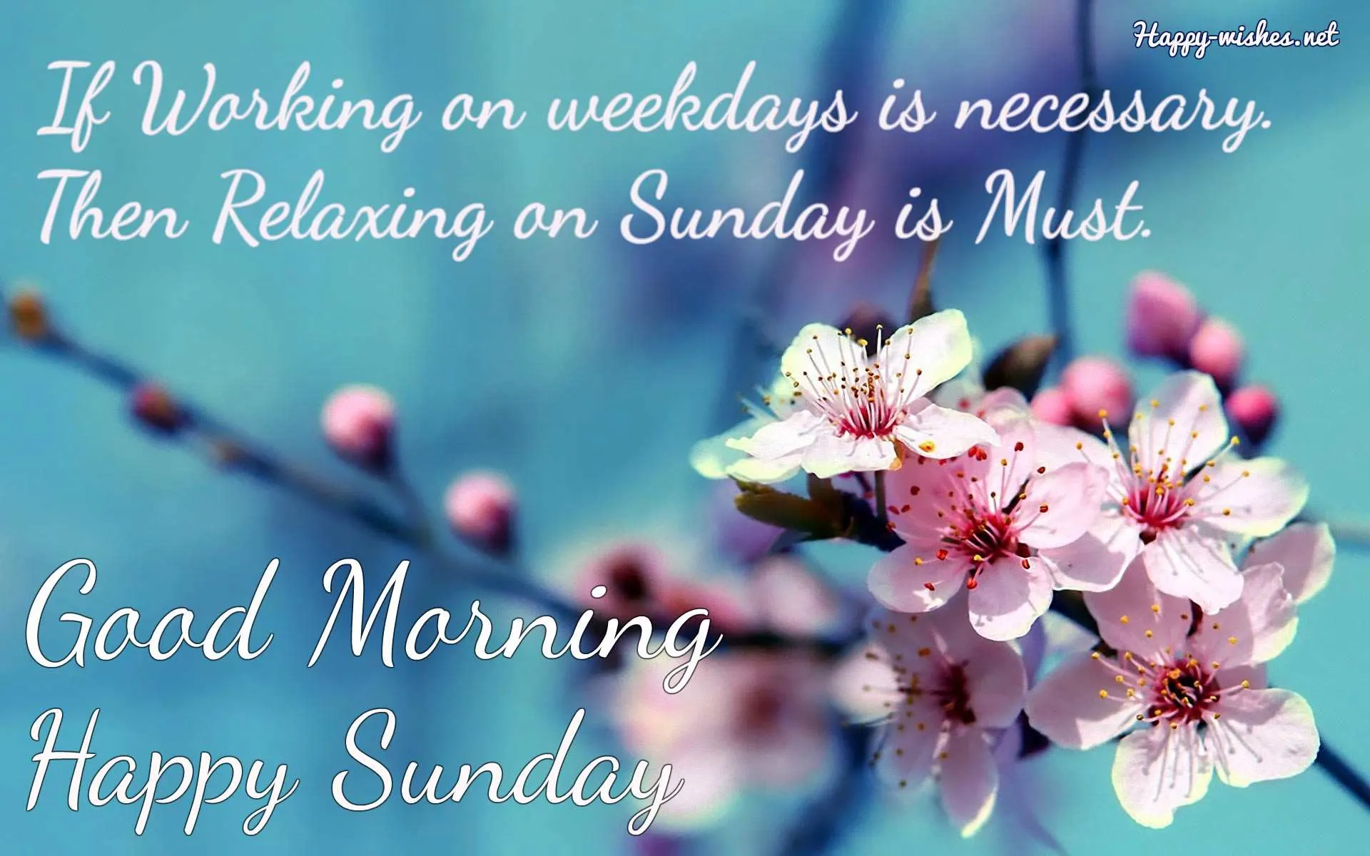 Pictures with happy sunday quotes