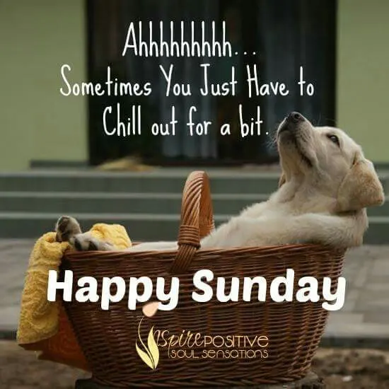 Illustrations with funny sunday quotes