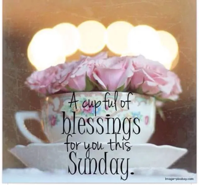 Images with funny sunday quotes